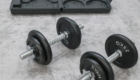 Dumbbell Set In Case DBC106