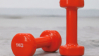 Vinyl & Neoprene Dumbbell DBN001