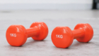 Vinyl & Neoprene Dumbbell DBN001