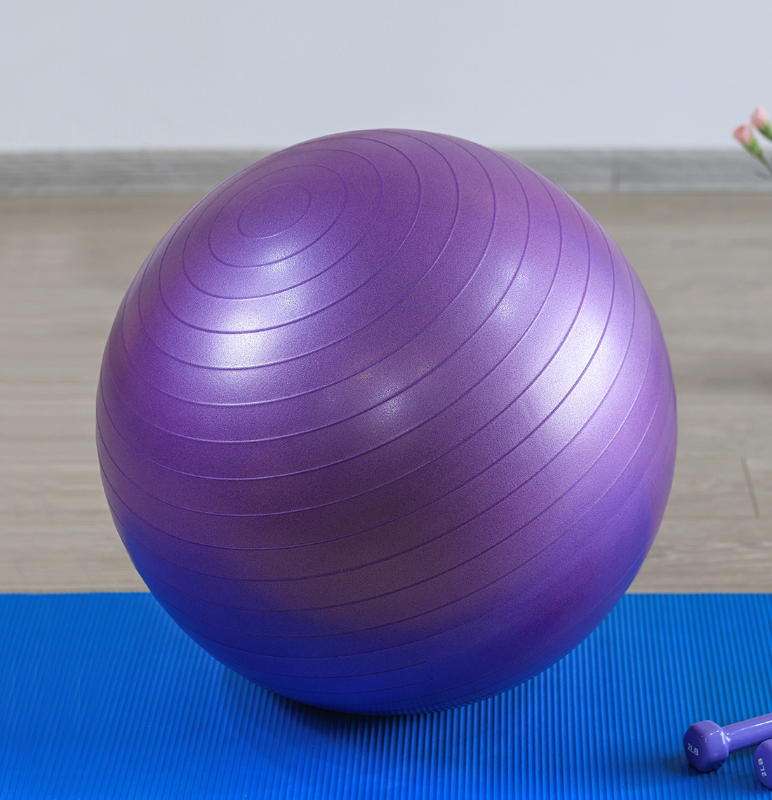 Yoga Ball GM001