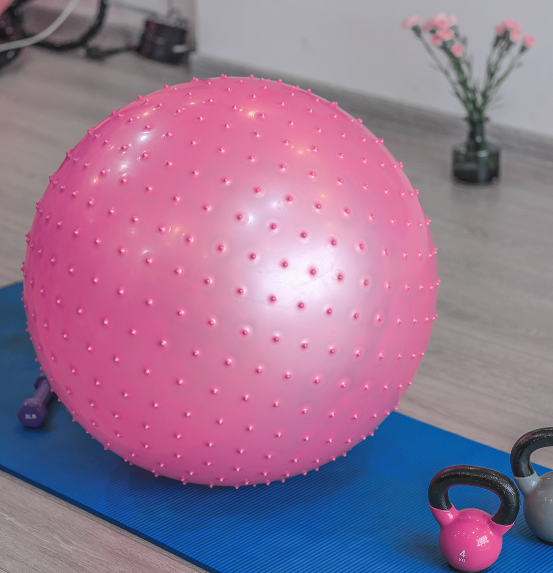 Yoga Ball GM003