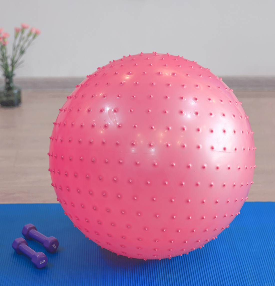 Yoga Ball GM003