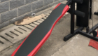Home Gym HG036