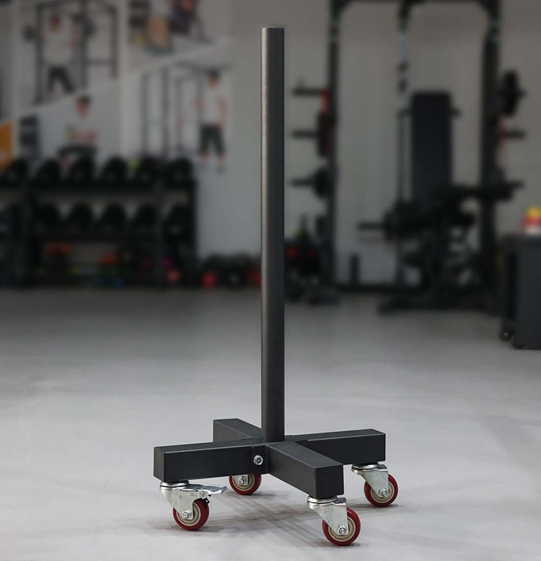 Bump Plates Storage Rack R009