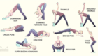 Yoga Brick SF8116