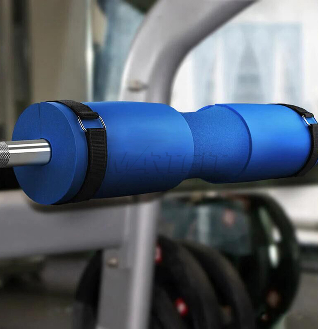 Olympic Bars SF8270