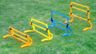 Agility AH003