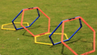 Agility SF8055