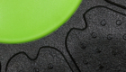 Body Balance Board B016