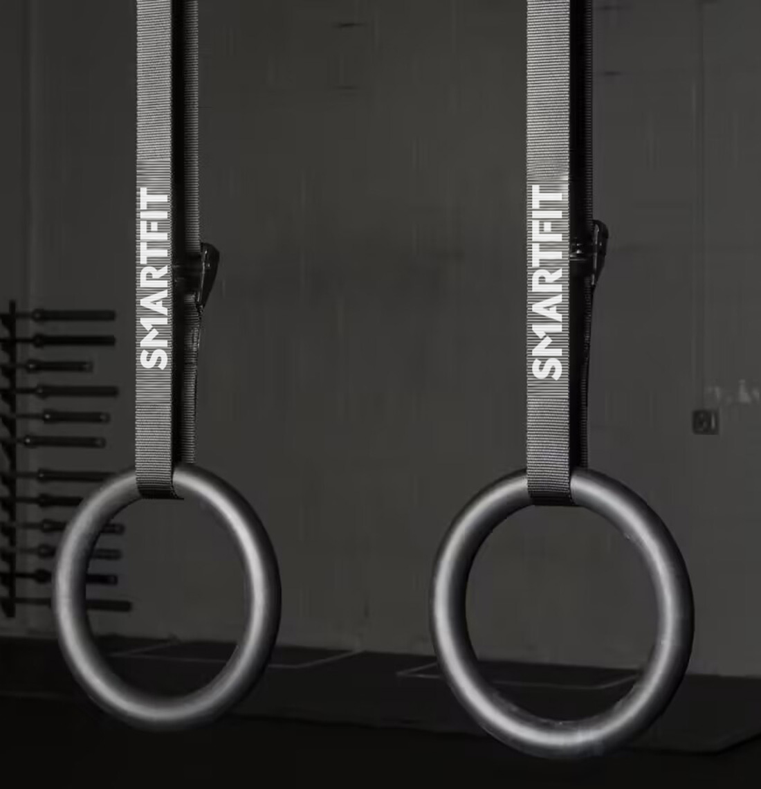 Gymnastics Rings AB022