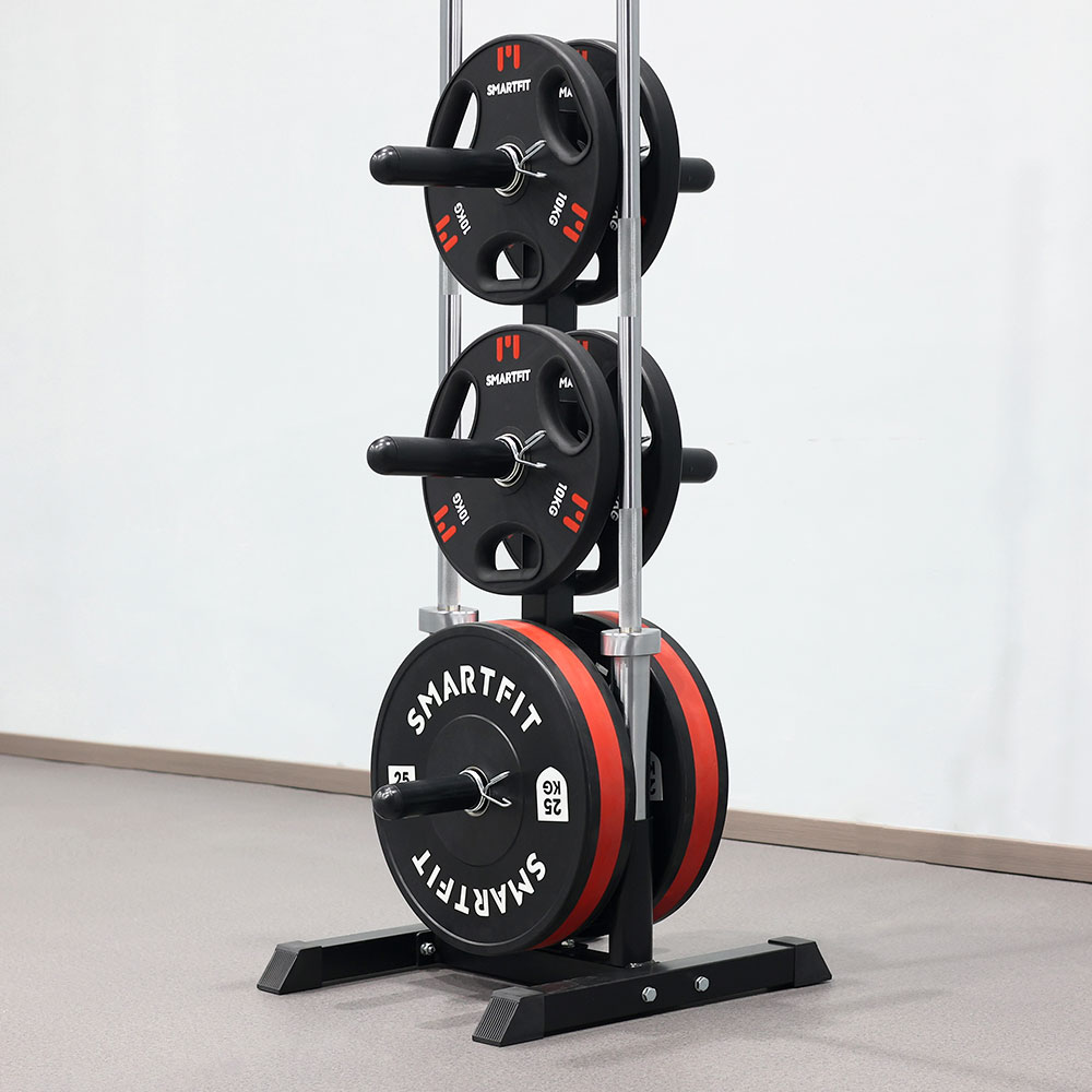 Olympic Weight Plates And Bars Storage Rack R005