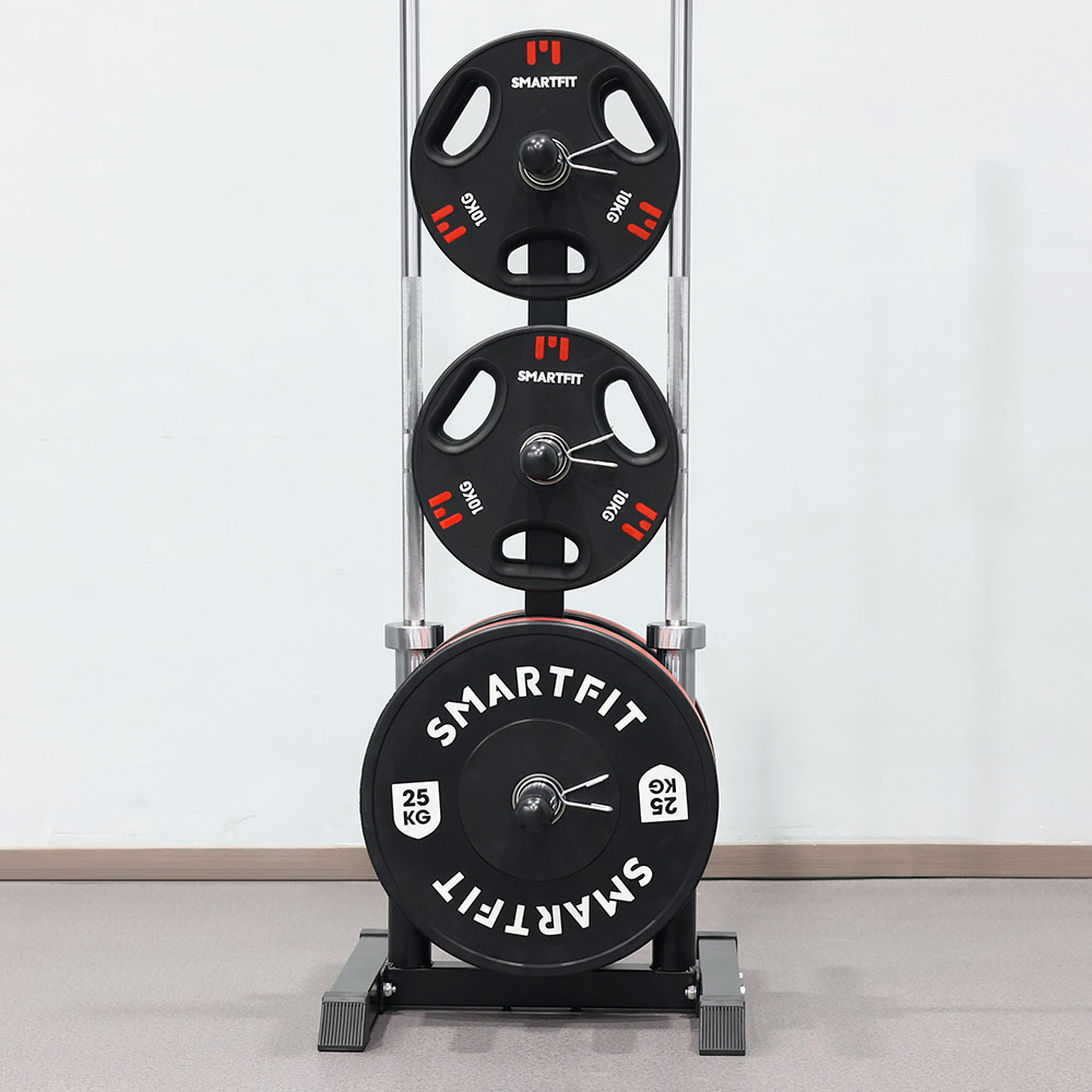 Olympic Weight Plates And Bars Storage Rack R005