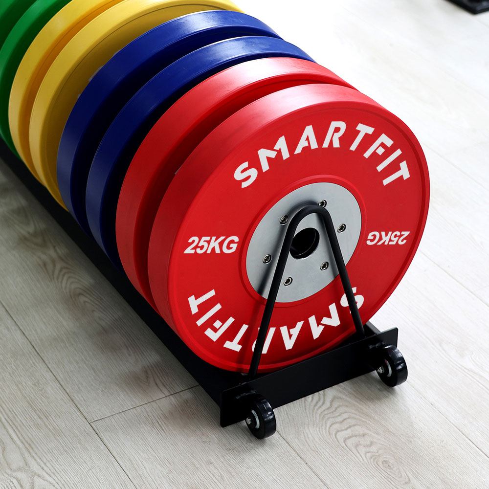 Weight Plates Storage Rack R012